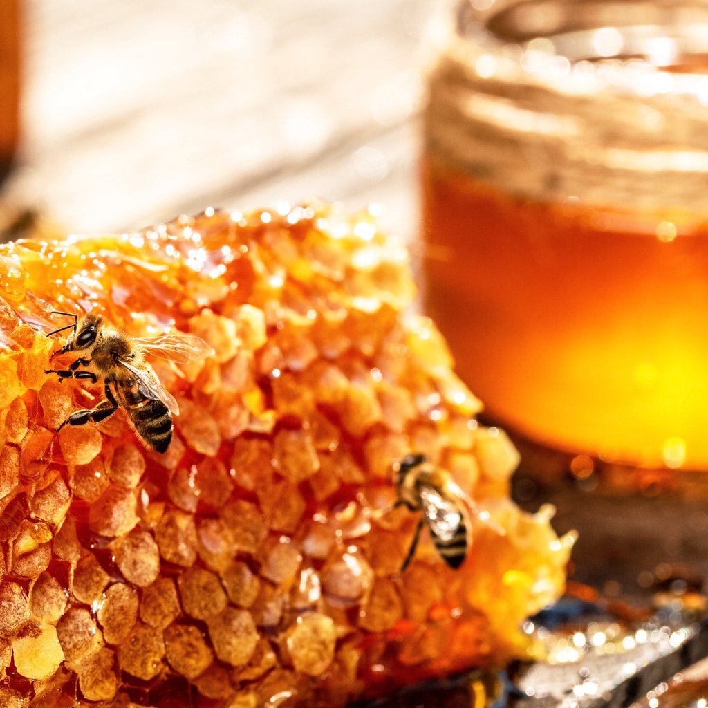 Honeycomb & Santal - Upcycled FO Blend 1010